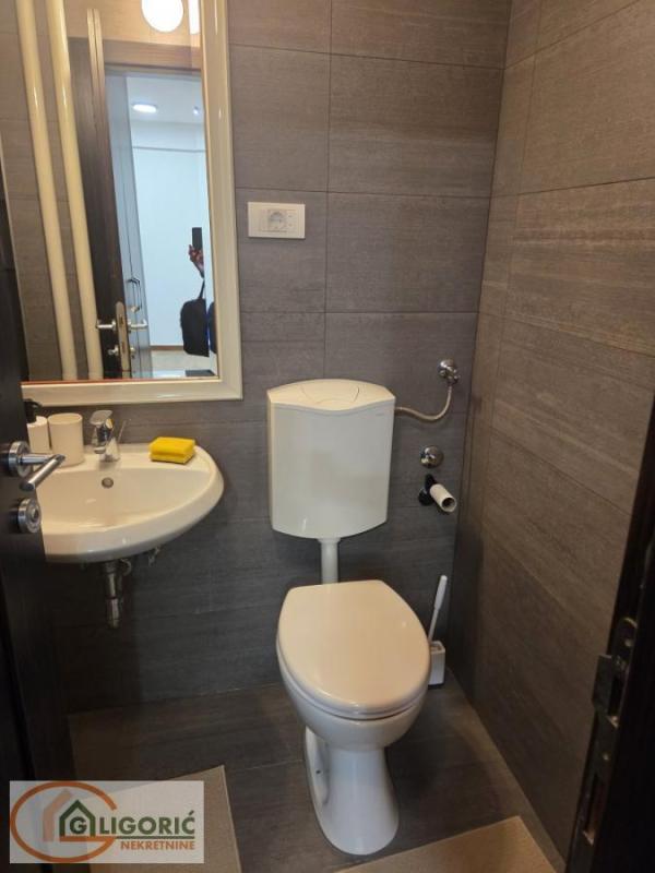 Slika 8 - Bulevar Zorana Đinđića, Jednosoban stan za izdavanje, 42m2, 700€