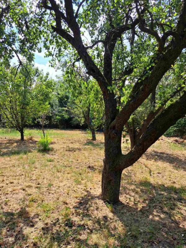 Slika 5 -  Plac na prodaju, Voždovac, Torlak , 2.500.000€