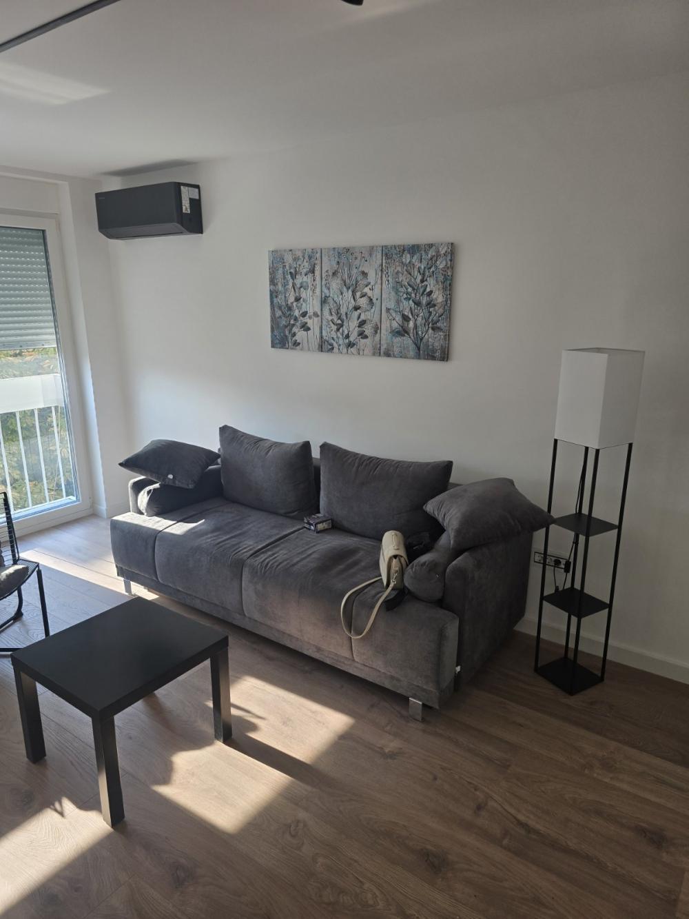 Glavna slika -Šajkaška, Jednosoban stan za izdavanje, 35m2, 600€
