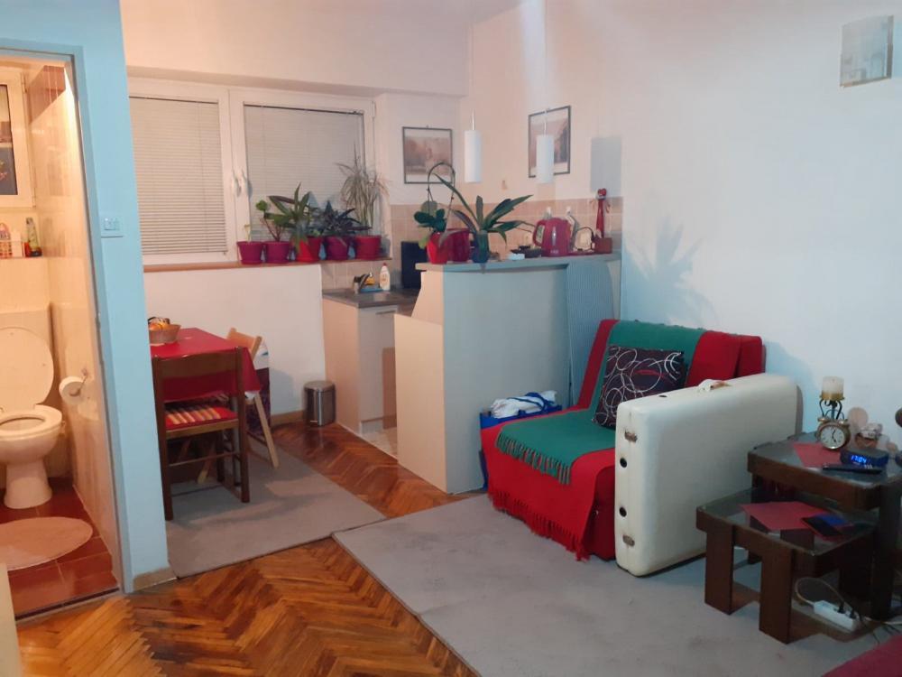 Glavna slika -Zdravka Čelara, Jednosoban stan za izdavanje, 22m2, 350€