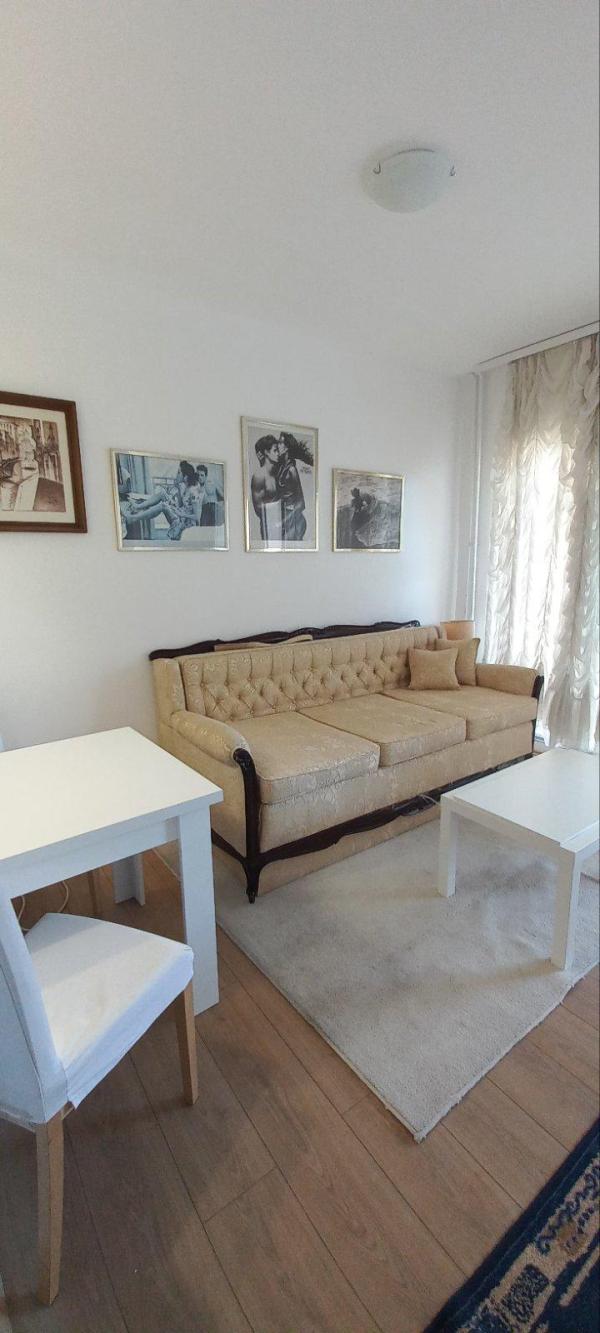 Slika 2 - Dunavska, Dvosoban stan za izdavanje, 40m2, 700€