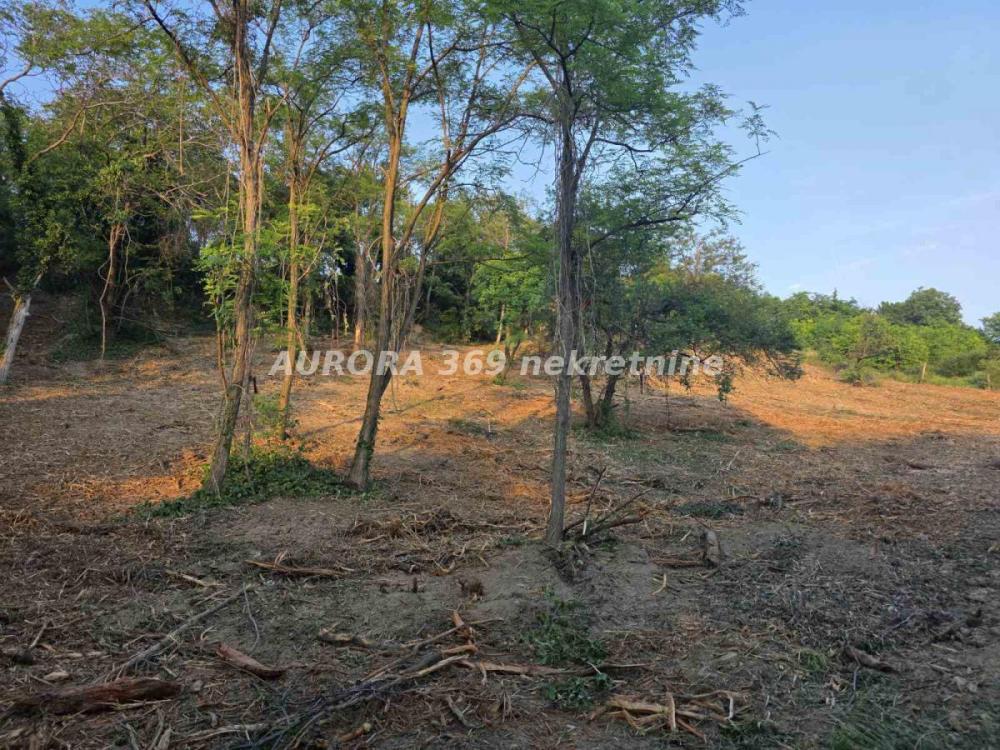 Slika 4 -  Plac na prodaju, Sremska Kamenica, , 226.600€