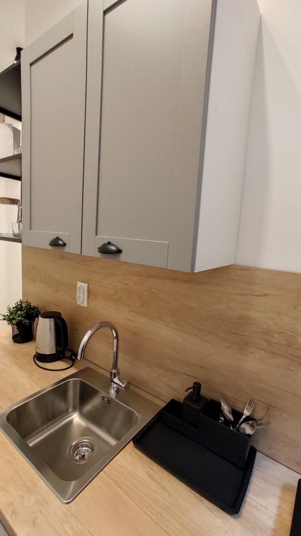 Slika 4 - Bulevar Despota Stefana, Jednosoban stan za izdavanje, 23m2, 450€