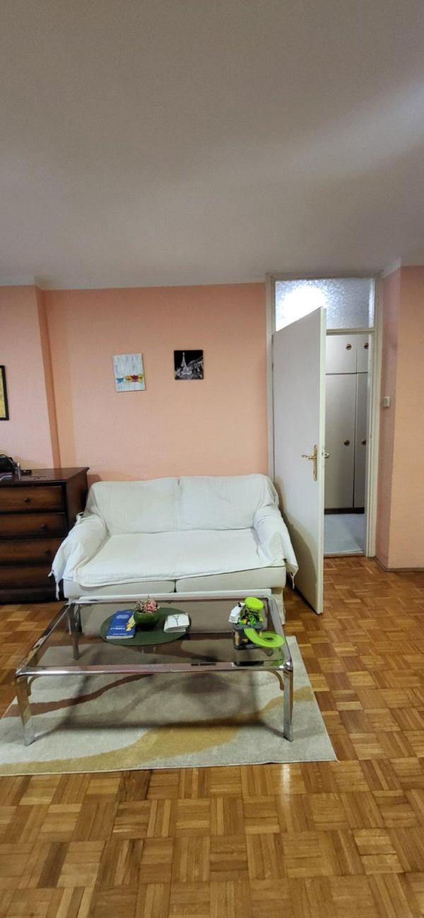 Slika 1 - Bulevar Milutina Milankovića, Dvosoban stan za izdavanje, 57m2, 550€