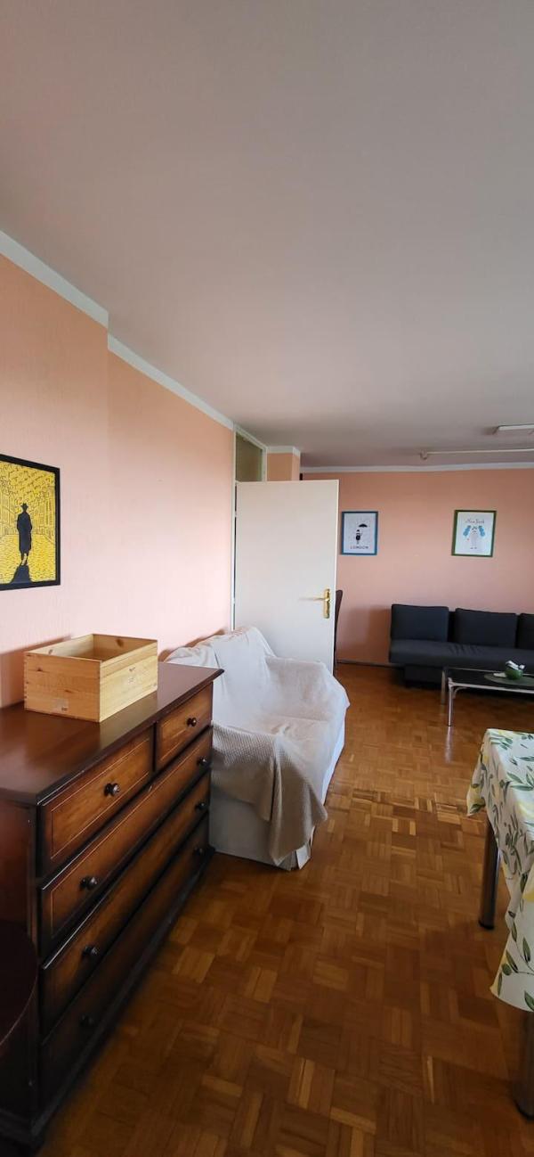 Slika 2 - Bulevar Milutina Milankovića, Dvosoban stan za izdavanje, 57m2, 550€