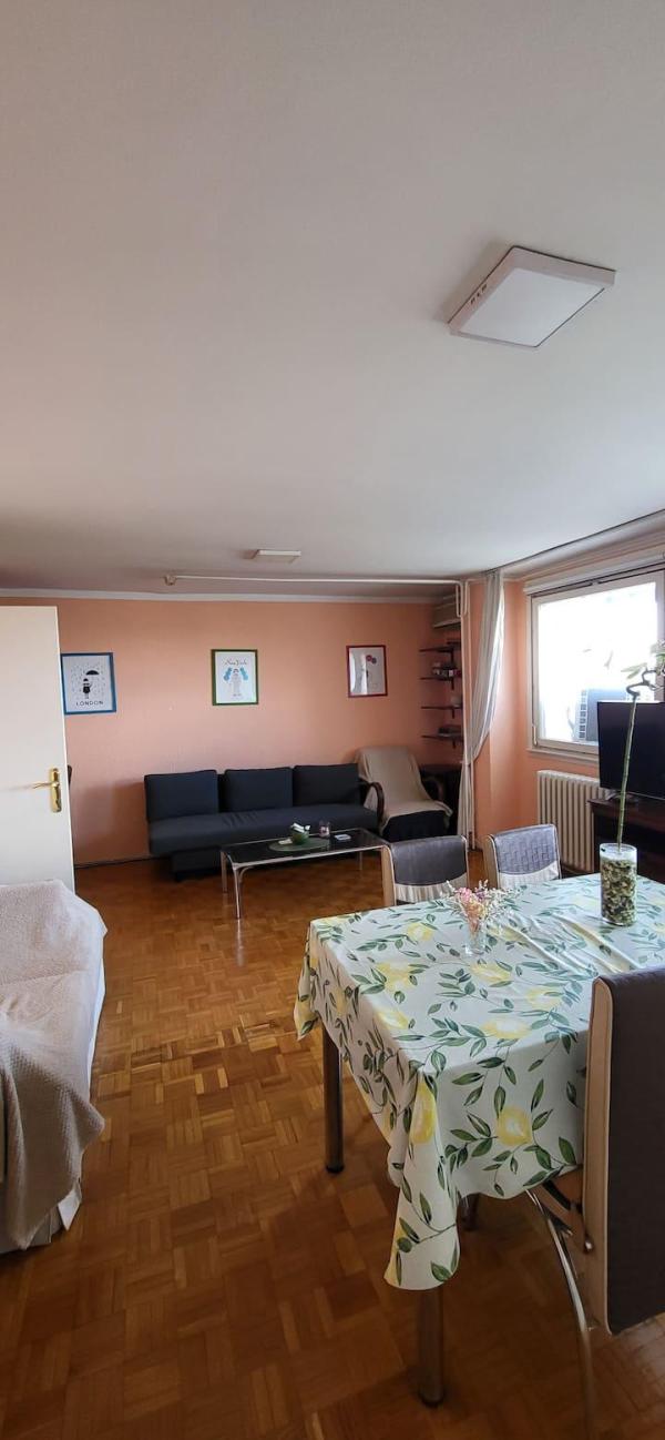 Slika 5 - Bulevar Milutina Milankovića, Dvosoban stan za izdavanje, 57m2, 550€