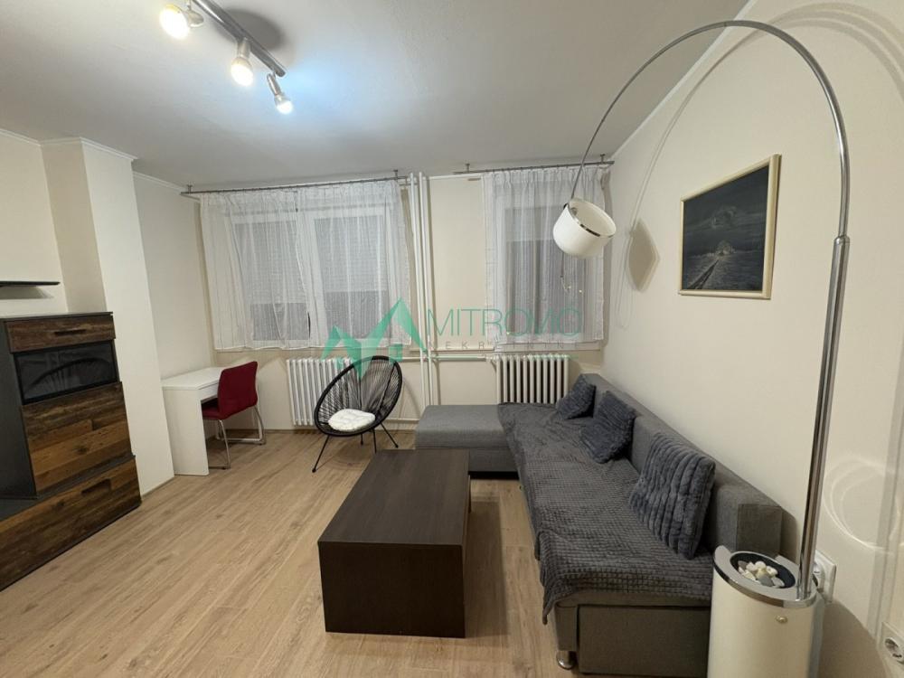 Glavna slika -Jednoiposoban stan za izdavanje, 50m2, 450€