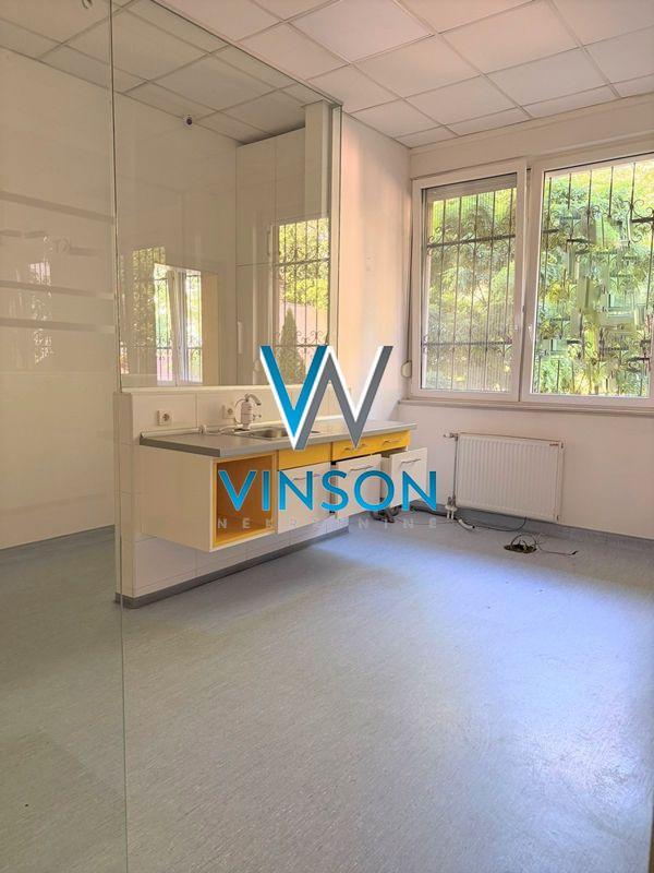 Slika 10 - Zmaj Ognjena Vuka,  Lokal za izdavanje, 150m2, 2.500€
