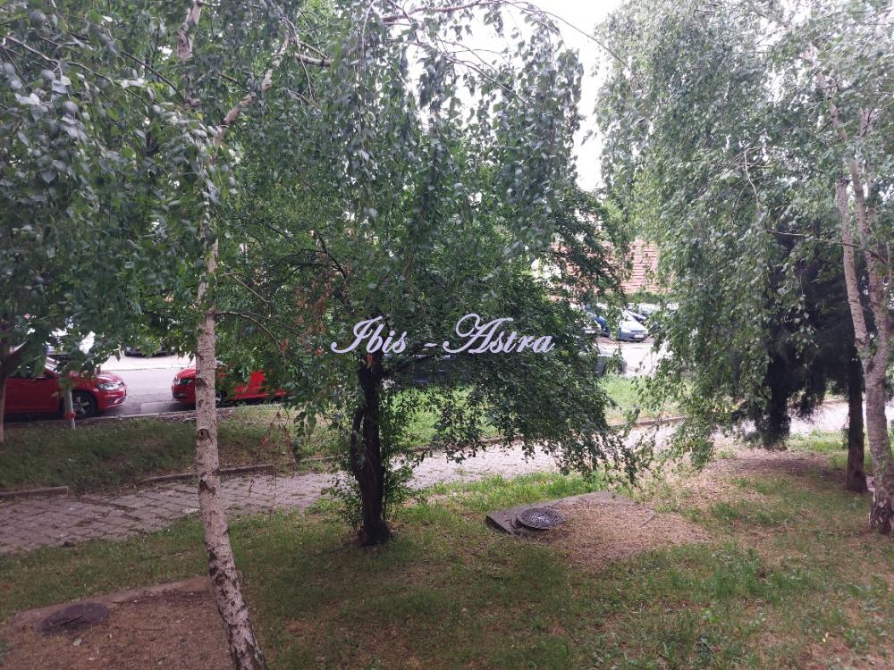 Slika 10 - Tome Maksimovića, Dvosoban stan na prodaju, 66m2, 210.000€