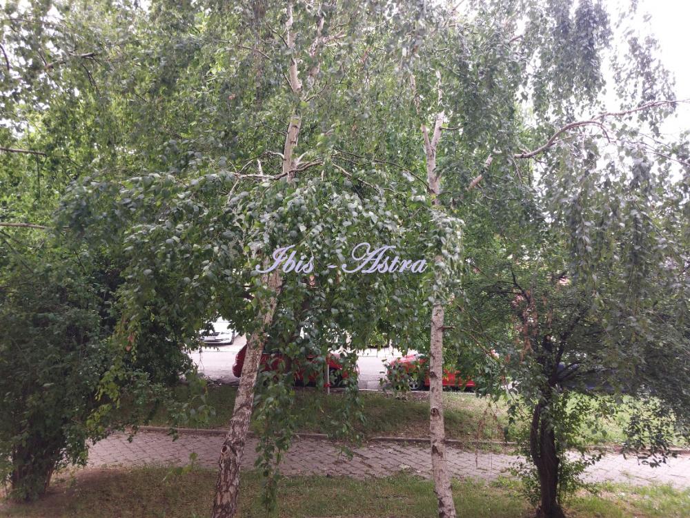 Slika 11 - Tome Maksimovića, Dvosoban stan na prodaju, 66m2, 210.000€