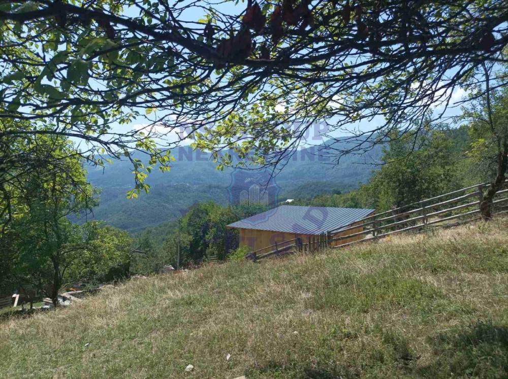 Slika 10 - Tara,  Kuća na prodaju, 16m2, 52.000€