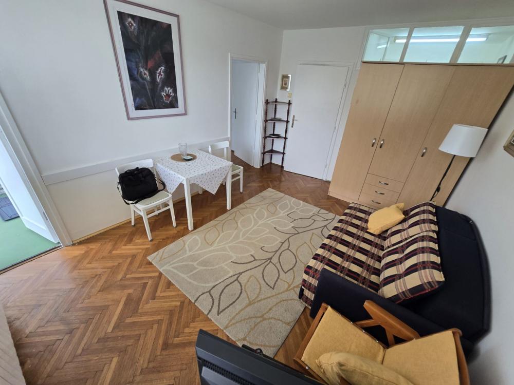 Slika 2 - Vojvode Stepe, Jednoiposoban stan za izdavanje, 32m2, 450€