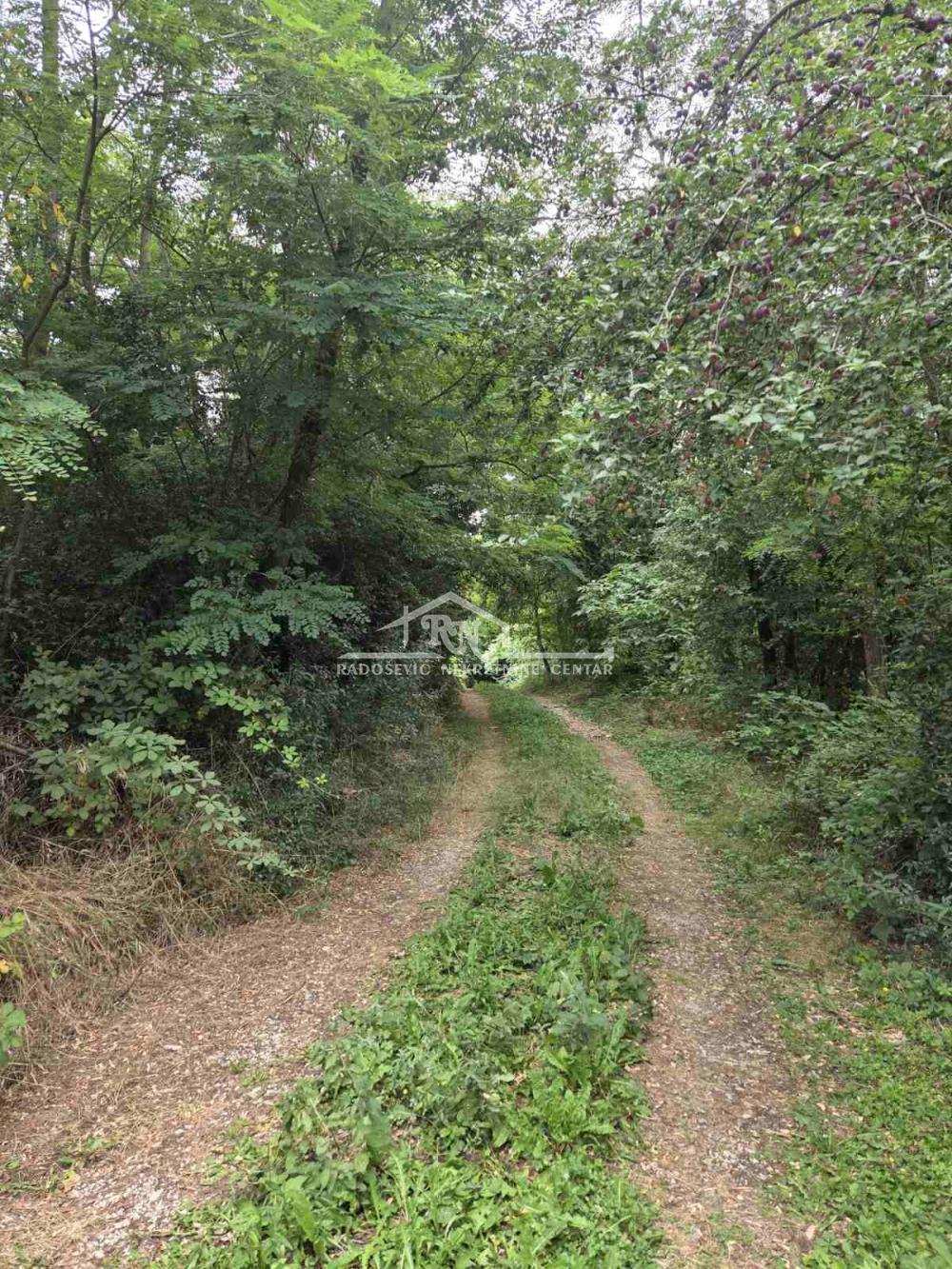 Slika 1 - Kasapovac Plac na prodaju, Grocka, Vrčin, 28.000€