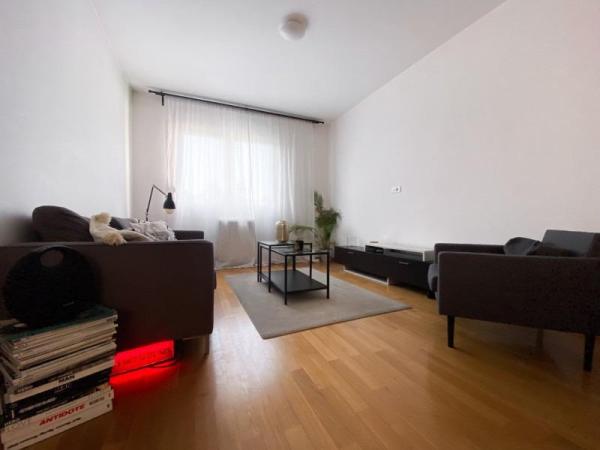 Slika 1 - Gospodara Vučića, Dvosoban stan za izdavanje, 43m2, 600€