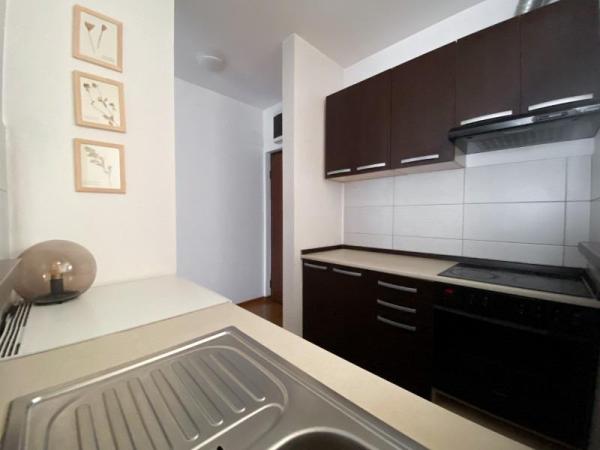 Slika 6 - Gospodara Vučića, Dvosoban stan za izdavanje, 43m2, 600€