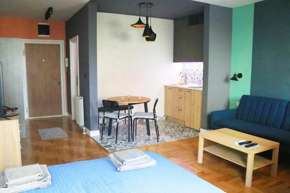 Glavna slika -Mileve Marić Ajnštajn, Jednosoban stan za izdavanje, 34m2, 500€