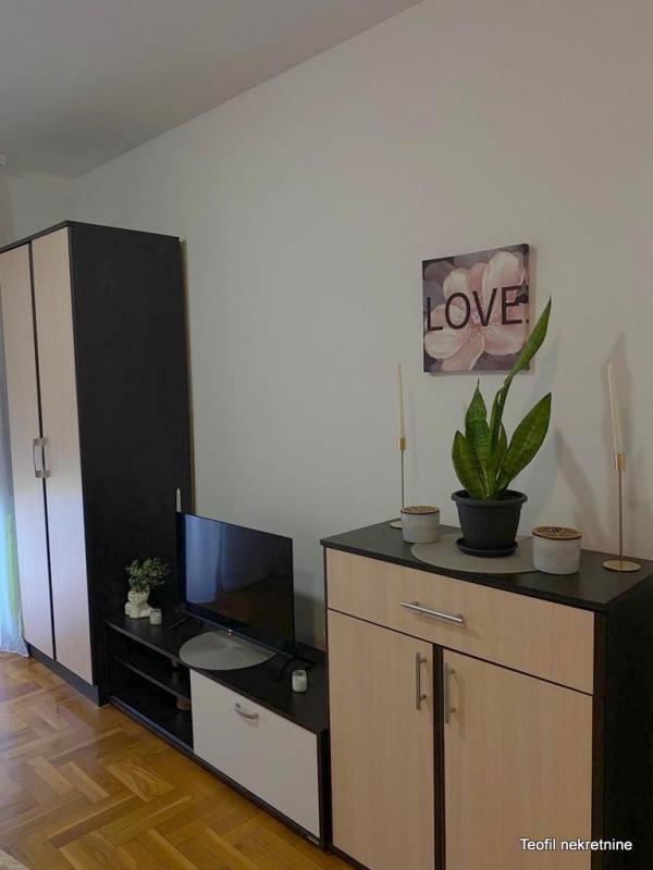Slika 1 - Jovanke Radaković, Jednosoban stan za izdavanje, 30m2, 350€