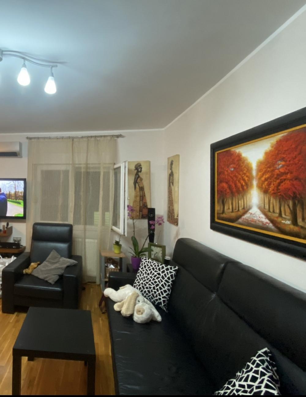 Slika 3 - Živojina Žujovića, Dvosoban stan za izdavanje, 55m2, 600€