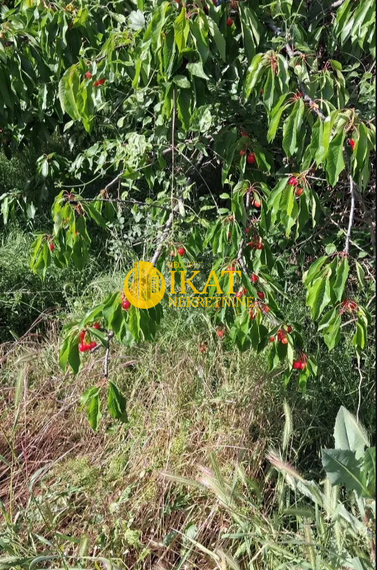 Slika 1 - Plavinci Plac na prodaju, Grocka, Ritopek, 52.000€