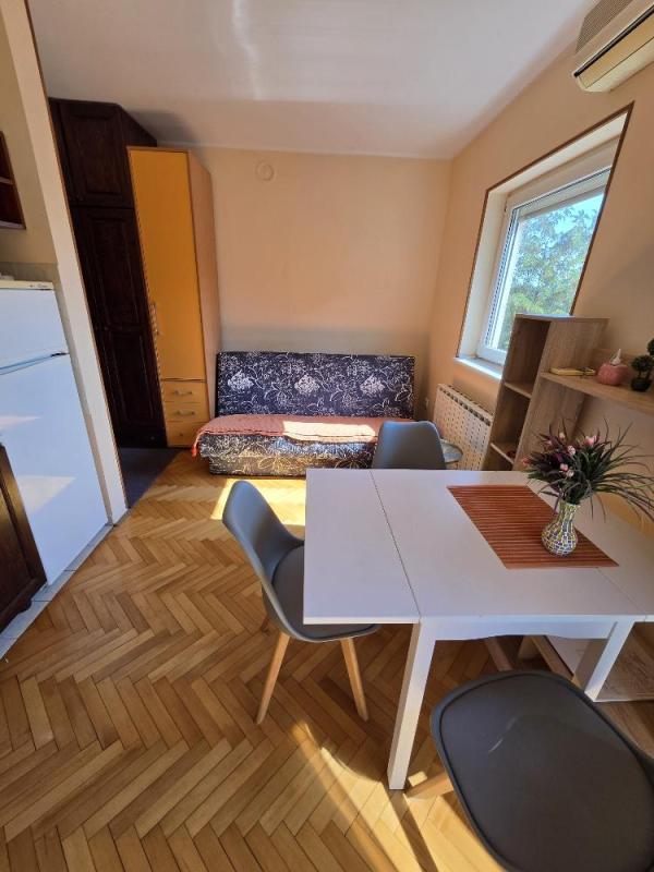 Slika 2 - Dragoslava Srejovića,  Stan za izdavanje, 21m2, 350€