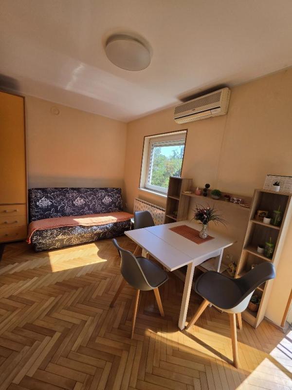 Slika 3 - Dragoslava Srejovića,  Stan za izdavanje, 21m2, 350€