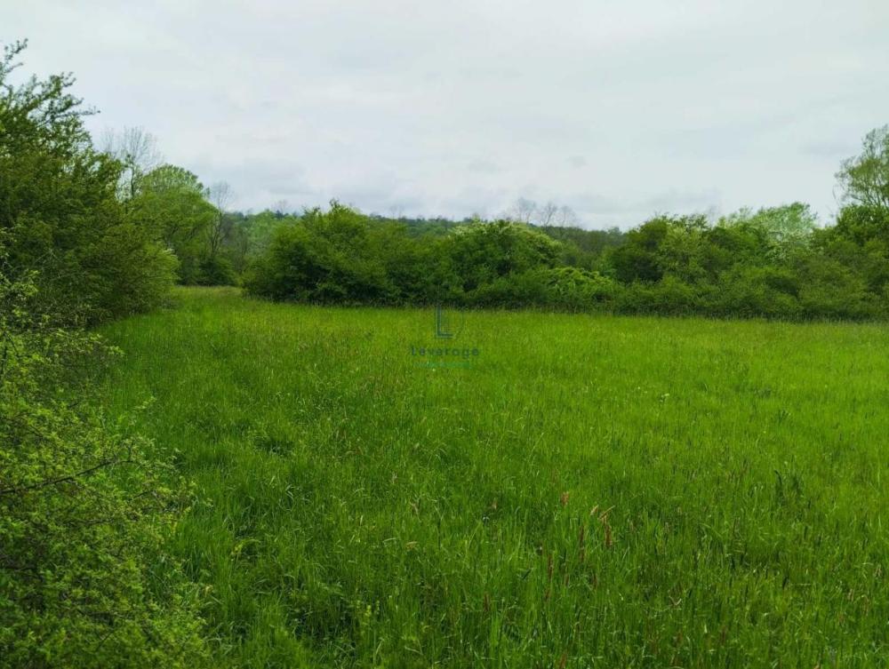 Slika 2 -  Plac na prodaju, Barajevo, Guncati, 59.500€