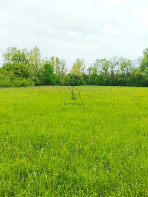 Slika 3 -  Plac na prodaju, Barajevo, Guncati, 59.500€