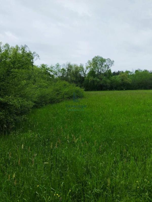Slika 5 -  Plac na prodaju, Barajevo, Guncati, 59.500€