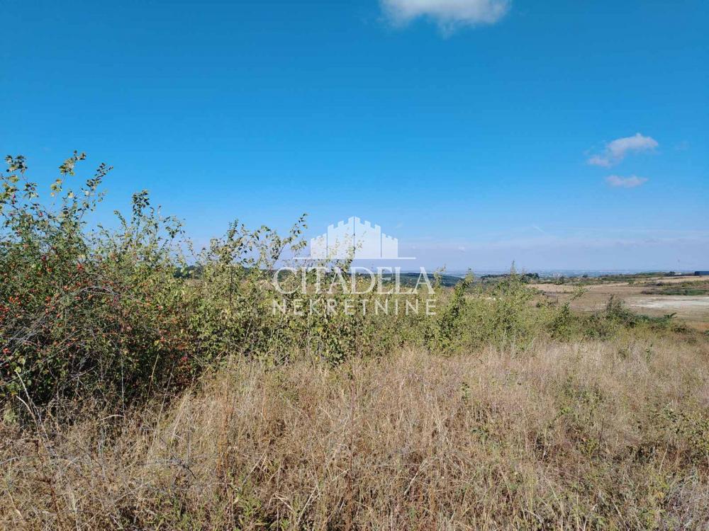 Slika 6 - Ibarska magistrala Plac na prodaju, Čukarica, Rušanj, 444.200€