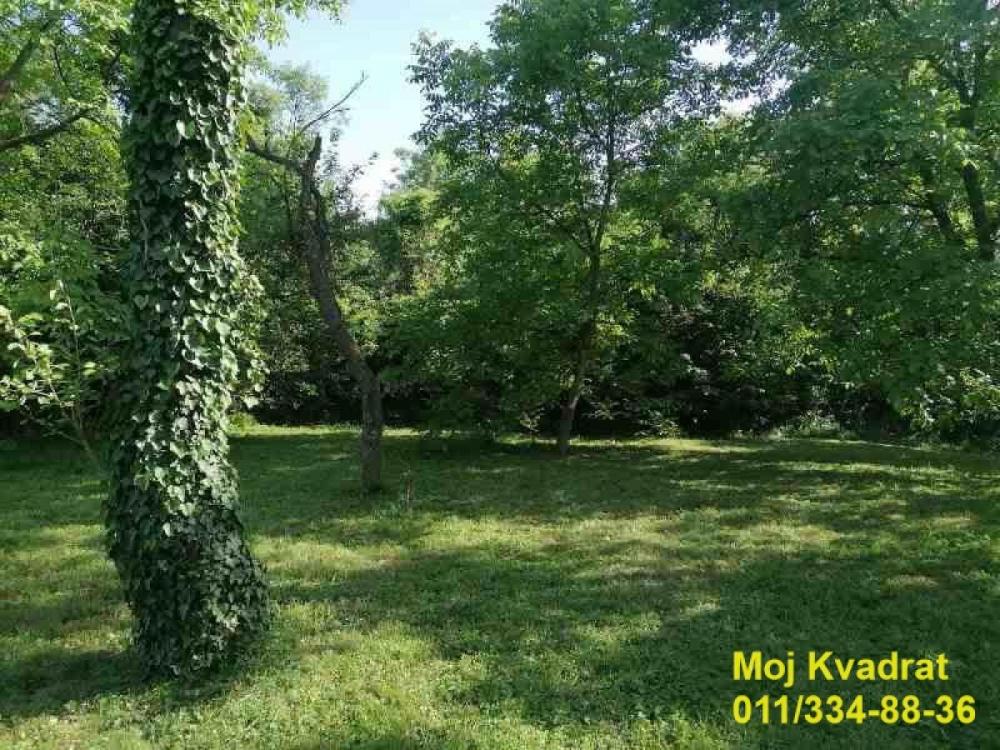 Slika 2 -  Plac na prodaju, Barajevo, Baćevac, 100.000€