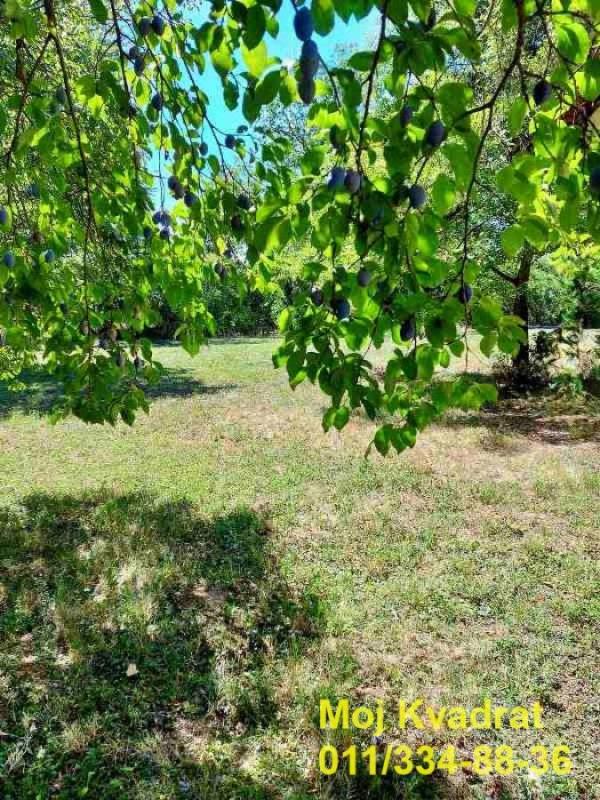 Slika 3 -  Plac na prodaju, Barajevo, Baćevac, 100.000€