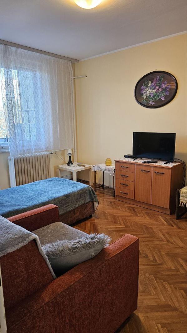 Slika 1 - Bulevar Kralja Aleksandra, Dvoiposoban stan za izdavanje, 60m2, 800€