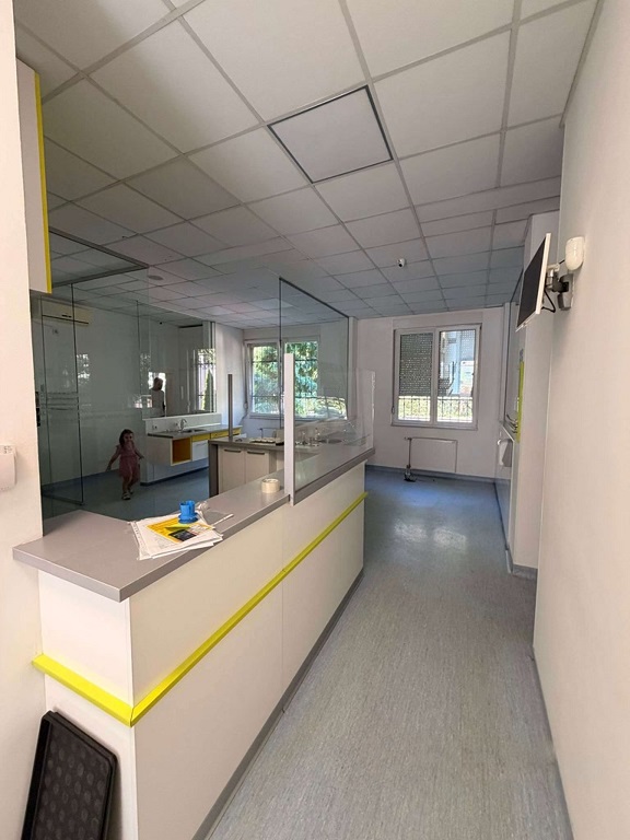 Slika 2 - Zmaj Ognjena Vuka,  Lokal za izdavanje, 150m2, 2.500€