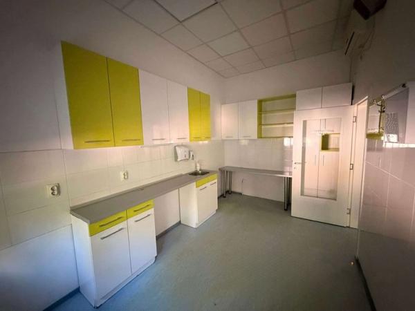 Slika 5 - Zmaj Ognjena Vuka,  Lokal za izdavanje, 150m2, 2.500€