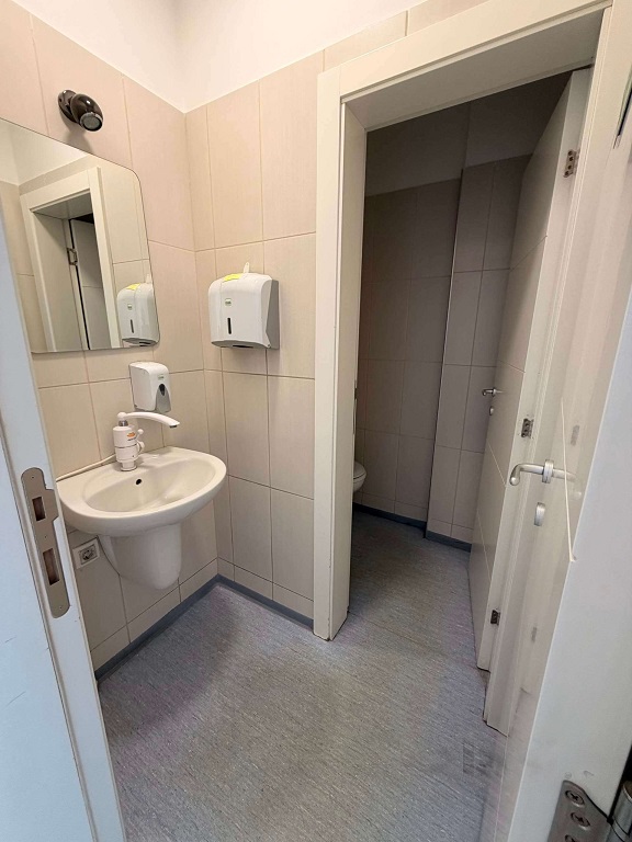 Slika 6 - Zmaj Ognjena Vuka,  Lokal za izdavanje, 150m2, 2.500€
