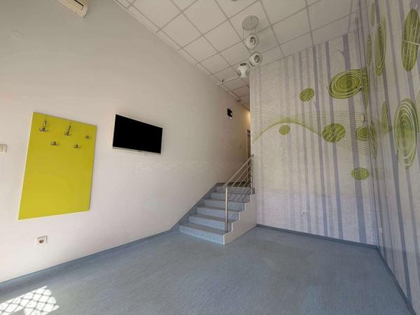 Slika 7 - Zmaj Ognjena Vuka,  Lokal za izdavanje, 150m2, 2.500€