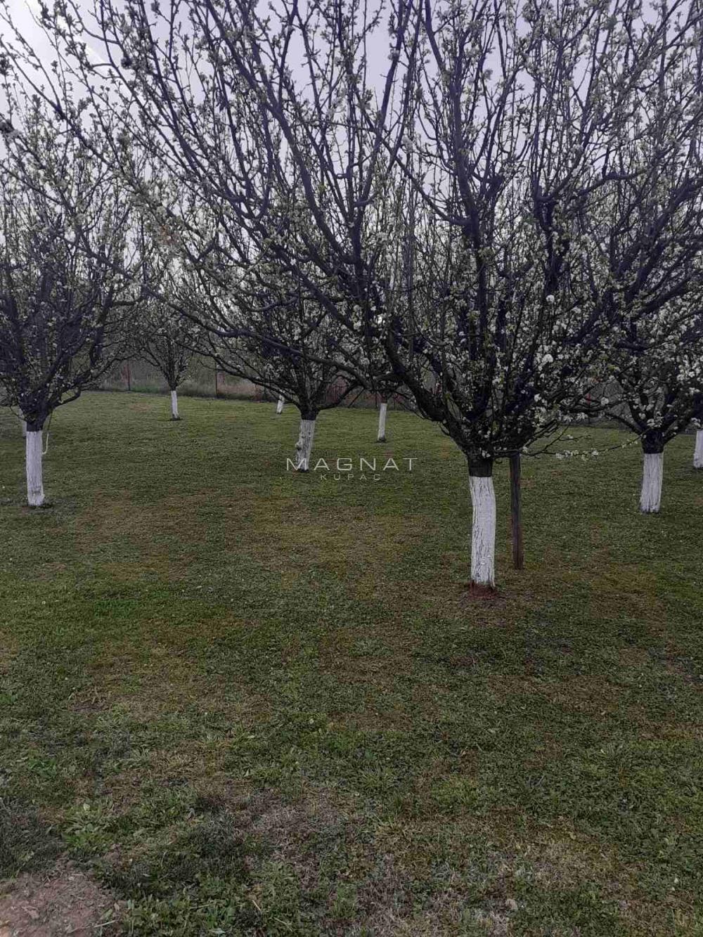 Slika 3 - Avalska,  Kuća na prodaju, 59m2, 150.000€