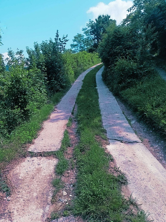 Slika 2 - Dumbovo Plac na prodaju, Beočin, 35.000€