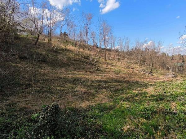 Glavna slika -Dumbovo Plac na prodaju, Beočin, 35.000€