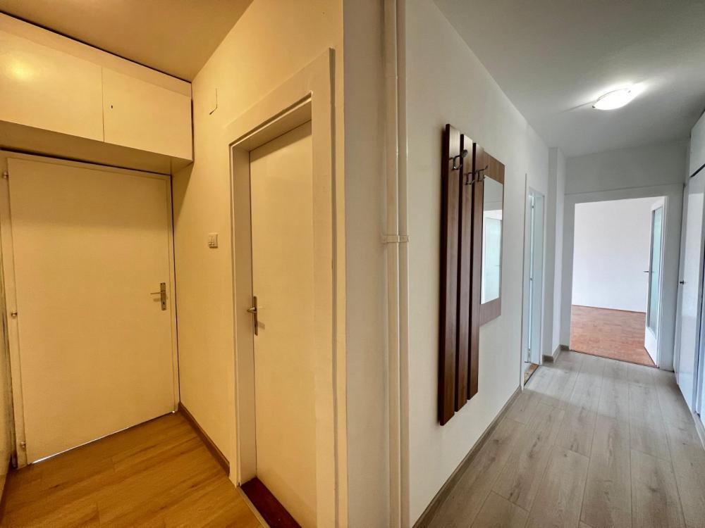 Slika 11 - Kej Oslobođenja, Trosoban stan za izdavanje, 70m2, 700€