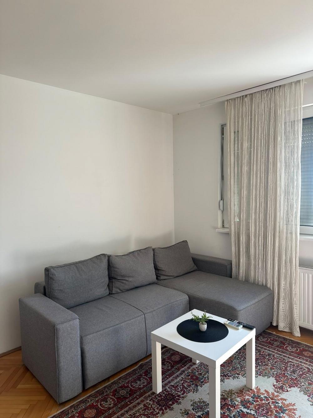 Slika 1 - Zaplanjska, Jednoiposoban stan za izdavanje, 35m2, 450€