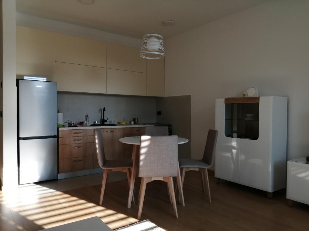 Slika 5 - Venizelosova, Jednosoban stan za izdavanje, 37m2, 650€