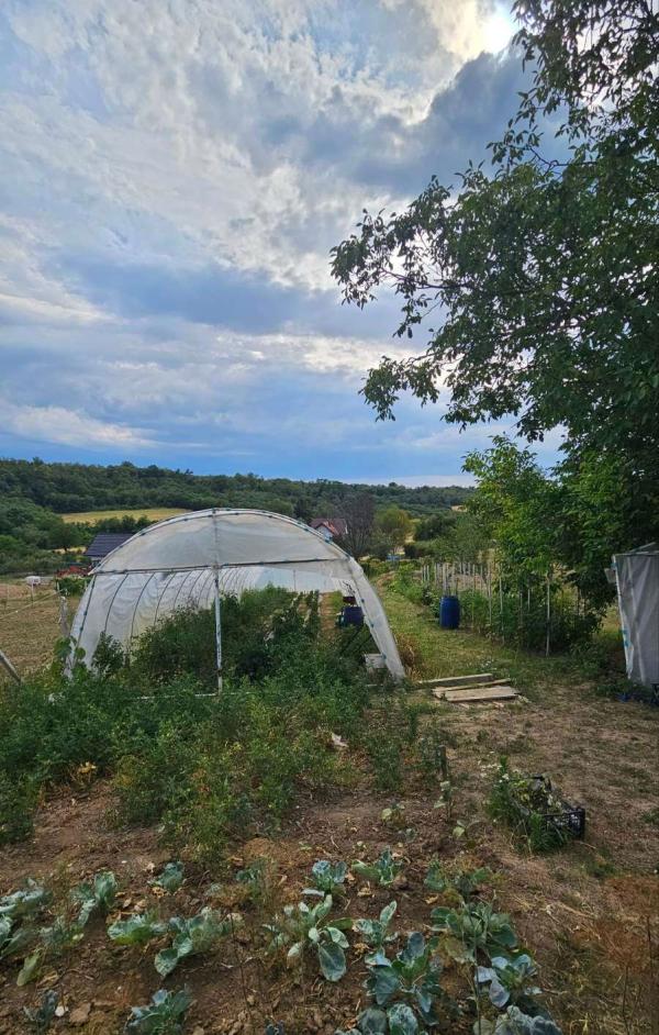 Slika 4 - Sremski Karlovci-Banstol,  Kuća na prodaju, 96m2, 160.000€