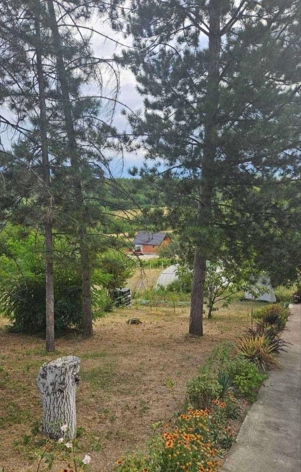Slika 5 - Sremski Karlovci-Banstol,  Kuća na prodaju, 96m2, 160.000€