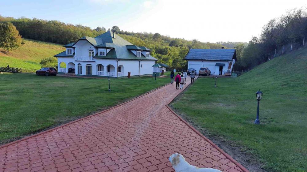 Slika 1 - Put za Markoviće, Kuća za izdavanje, 554m2, 8.000€