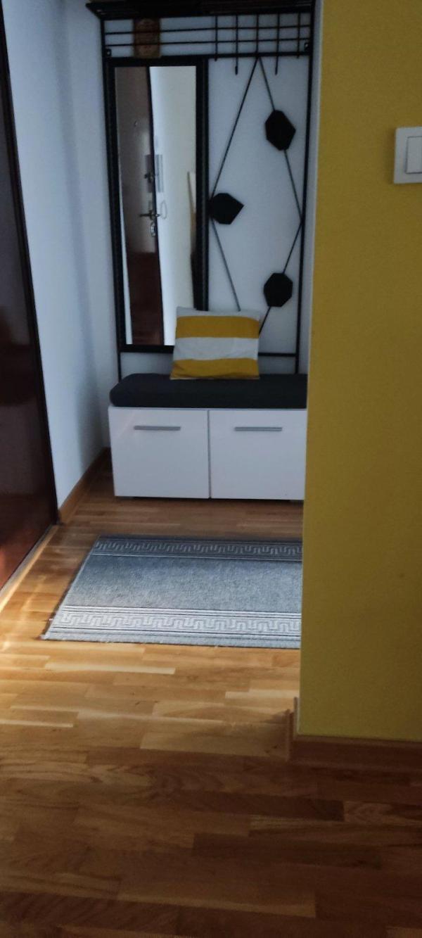 Slika 4 - Palmira Toljatija, Dvosoban stan za izdavanje, 50m2, 1.000€