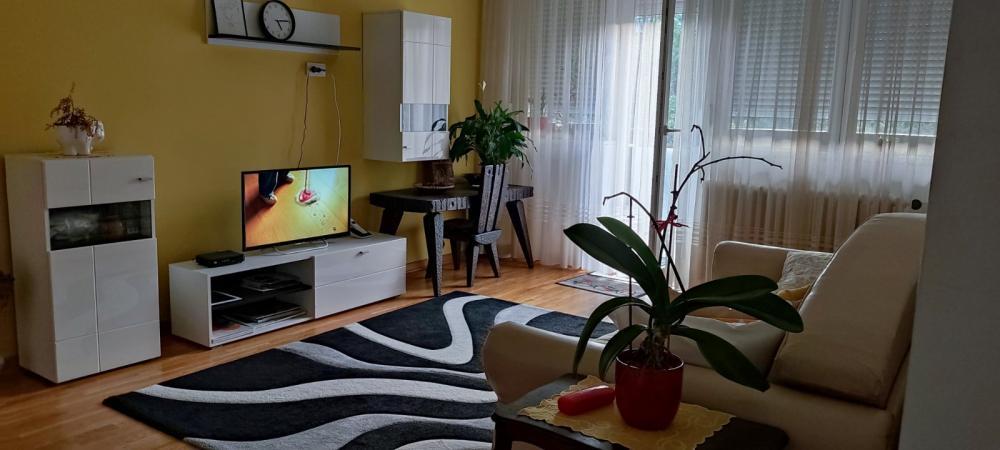 Glavna slika -Palmira Toljatija, Dvosoban stan za izdavanje, 50m2, 1.000€