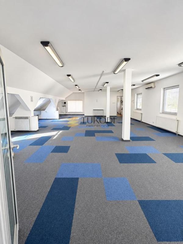 Slika 7 -  Lokal za izdavanje, 350m2, 3.000€