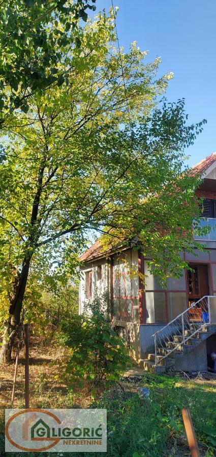 Glavna slika -Pčinjska,  Kuća na prodaju, 114m2, 115.000€