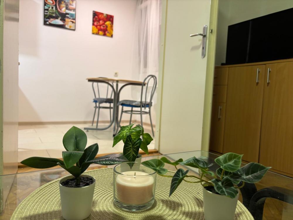 Slika 1 - Mihaila Vukše, Jednoiposoban stan za izdavanje, 30m2, 370€